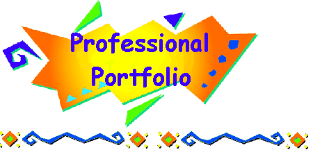 Professional portfolio