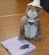 Philbert, travel buddy