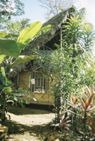 Our jungle accomodations