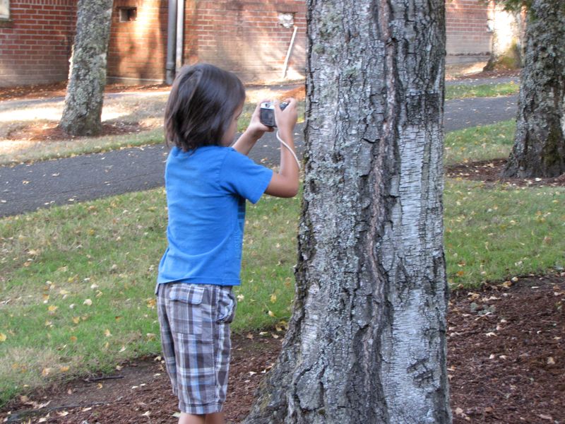 Documenting Tree bark