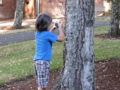Documenting Tree bark