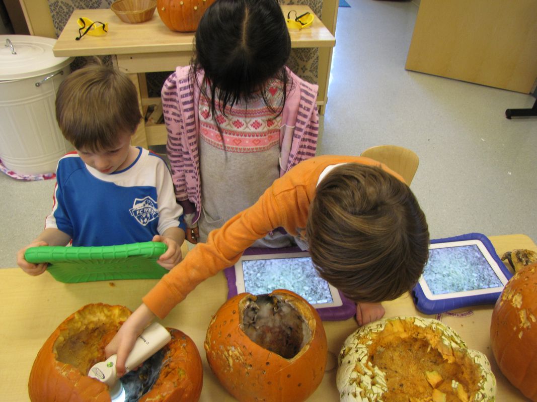 Moldy Pumpkins