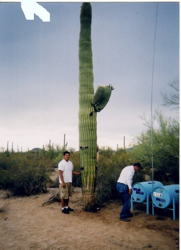 Desert