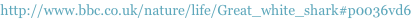 shapeimage_1_link_0