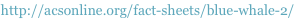 shapeimage_1_link_10