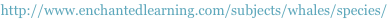 shapeimage_1_link_11