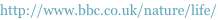shapeimage_1_link_13