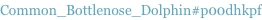 shapeimage_1_link_14