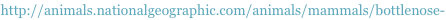 shapeimage_1_link_15