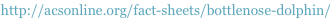 shapeimage_1_link_18