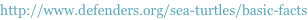 shapeimage_1_link_25