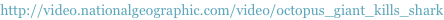 shapeimage_1_link_28