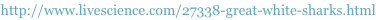 shapeimage_1_link_3