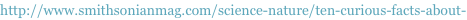 shapeimage_1_link_31