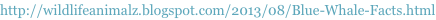 shapeimage_1_link_40