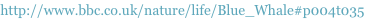 shapeimage_1_link_6