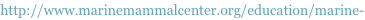 shapeimage_1_link_8