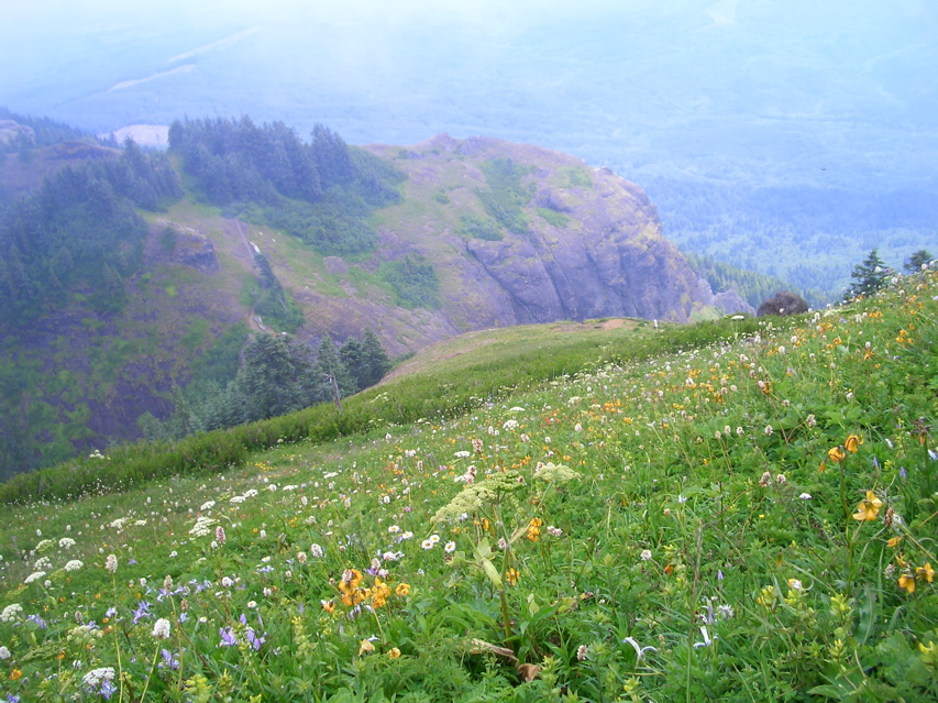 Saddle Mountain