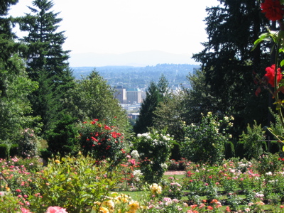 Rose Garden View