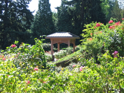 Rose Garden