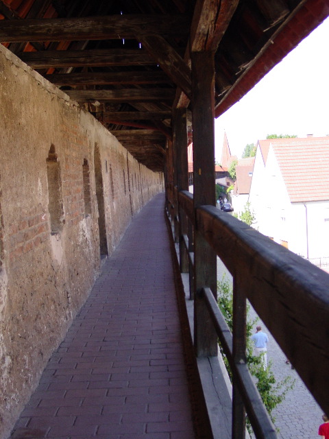 DSC06236