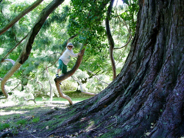 Griff Climbs