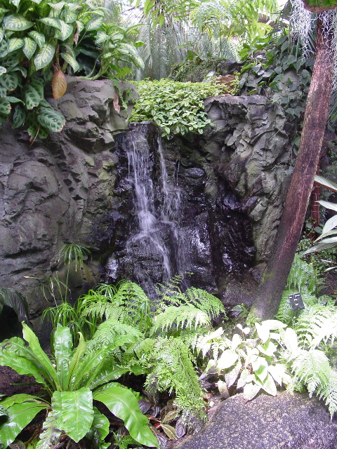 Waterfall in the hothouse