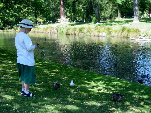 Griff and some bird friends on Avon