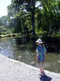 Quinn, Ducks and the river Avon