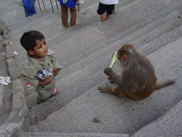 Swayambhunath is known as the Monkey Temple and there was abundant evidence of the reason for this.  Unfortunately a hungry boy and his cucumber are soon parted by a hungry monkey