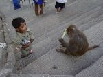 Swayambhunath is known as the Monkey Temple and there was abundant evidence of the reason for this.  Unfortunately a hungry boy and his cucumber are soon parted by a hungry monkey