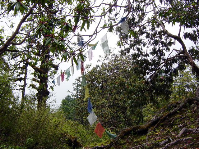 Prayer Flags graced the trail