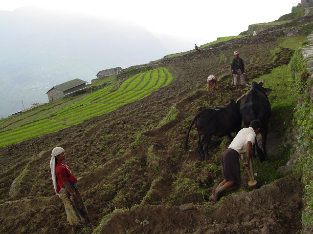 Ploughing by hand