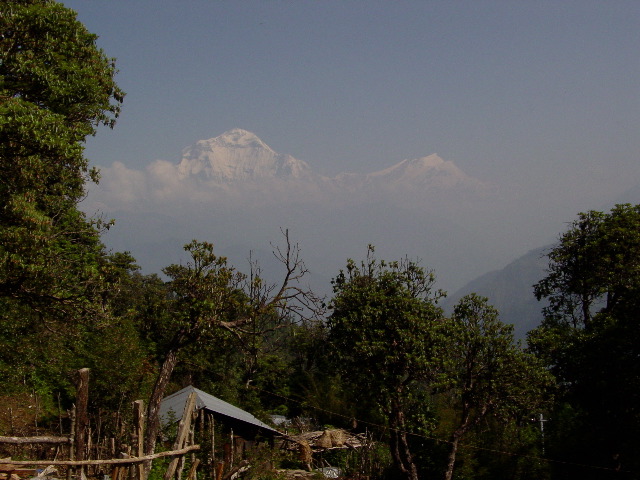 HIking down from Ghorepani, the view of Dhaulagiri and Annapurna South continued to provide a surreal backdrop