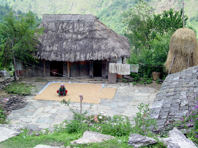 Nepali farmers dry their grain right in their front yards on on the trails.