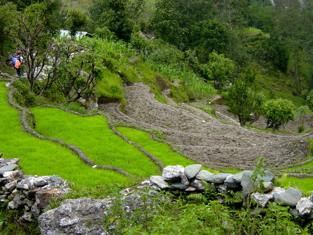 The simple beauty of these terraced fields was impressive and continual