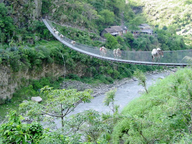 Every river crossing involved swinging bridges that were capable of supporting countless trains of donkeys and humans with very heavy loads.