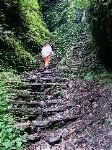 Griffin climbs one of the thousands of stone steps straight up.