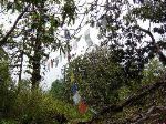 Prayer Flags graced the trail