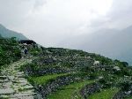 Farming on the terraces involved animals, rocks walls and intensive labor