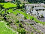 Just one of the pastoral scenes of people and animals in symbosis in this terraced land.