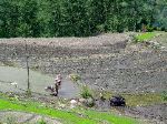 It was rice planting season and we saw many fields where women were planting and tending the grain.