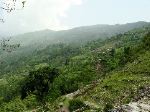 A larger vies of the layers of terraces outside of Tatipani