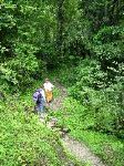 Intrepid Trekkers in the lush forest