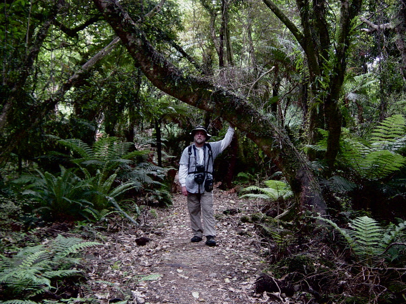 Dad and a Tree