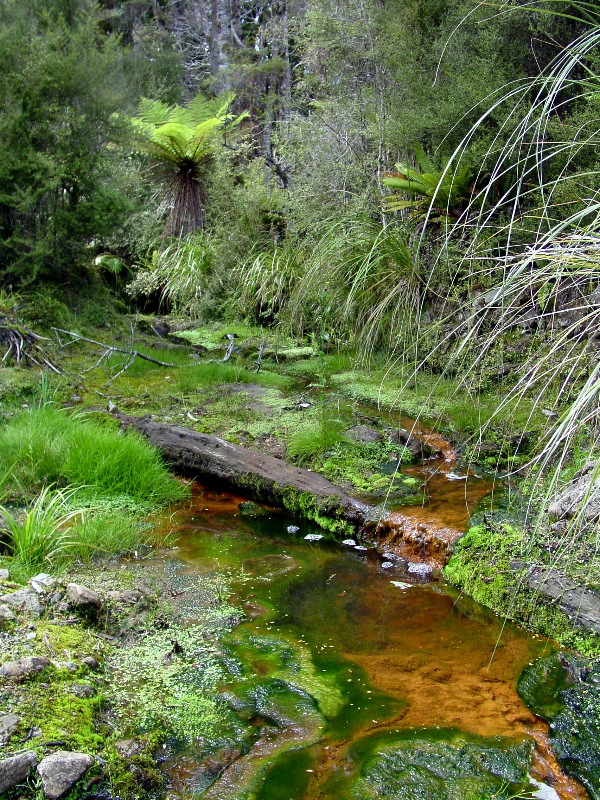 Hauroko Hike