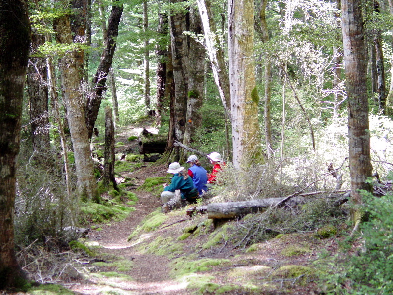 Pause on the trail