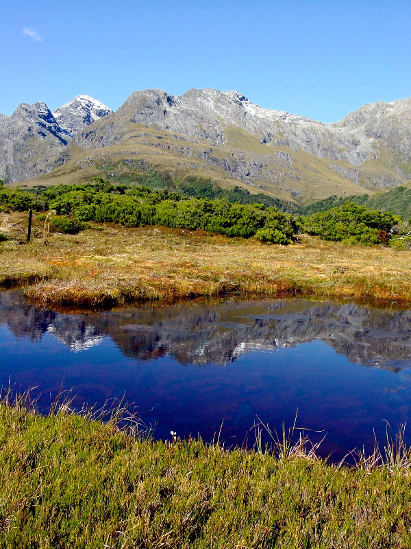 Reflecting pool