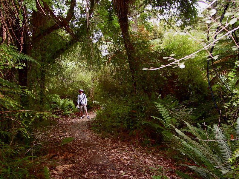 Hump Ridge Track