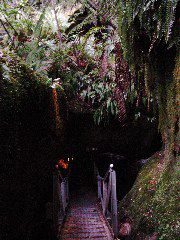 Glow Worm Cave